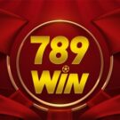 789Win00 com – Nhà cái tặng tiền nạp lần đầu lên tới 30%