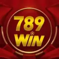 789Win84 com – Nạp tiền lần đầu tặng miễn phí 158%