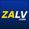 Zalv8 com – Cơn bão lì xì mỗi ngày cho hội viên mới